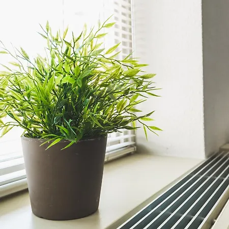 Queen Hotel Eindhoven