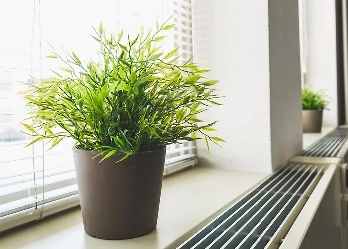 Queen Otel Eindhoven