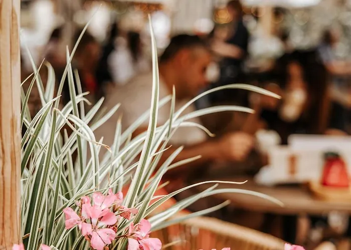 女王酒店 酒店 3*