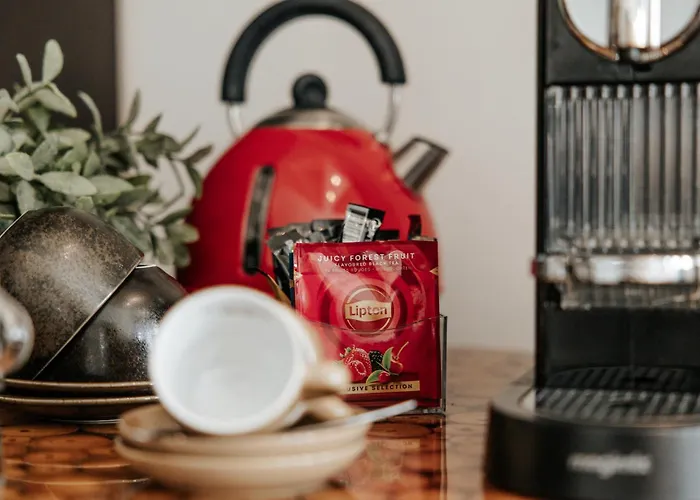 酒店 女王酒店 埃因霍温