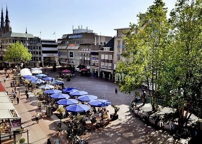 酒店 女王酒店 3*